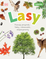 Lasy