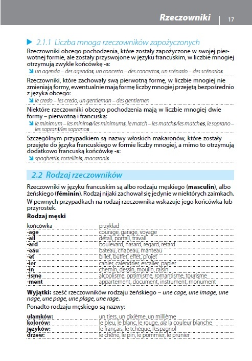 Gramatyka języka francuskiego  z praktycznymi przykładami